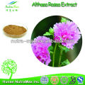 Nutramax Supply-Natural Common Hollyhock Extract Powder 4:1 5:1 10:1